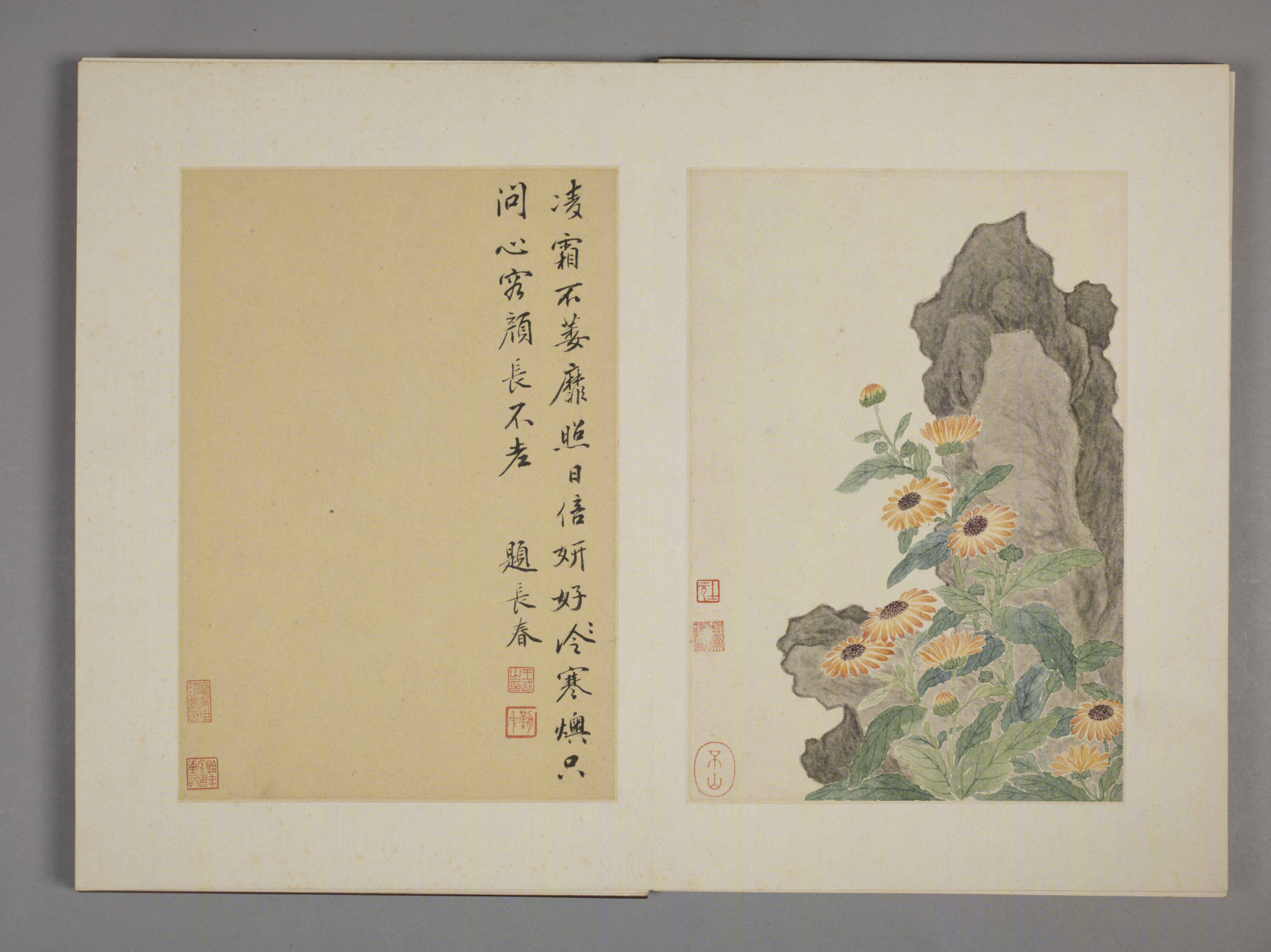 清·王武花卉册九开故宫博物院高清中国古画下载